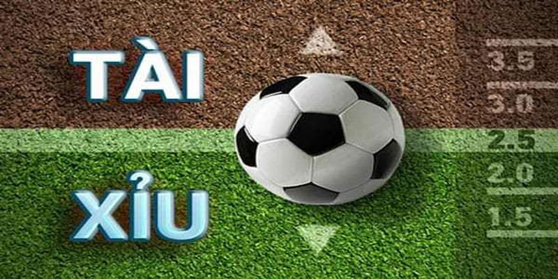 Tài xỉu bóng đá Tài xỉu bóng đá vì sao được ưa chuộng?